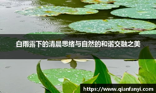 白雨露下的清晨思绪与自然的和谐交融之美